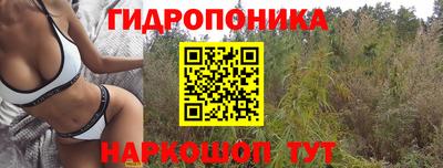 гашик Партизанск