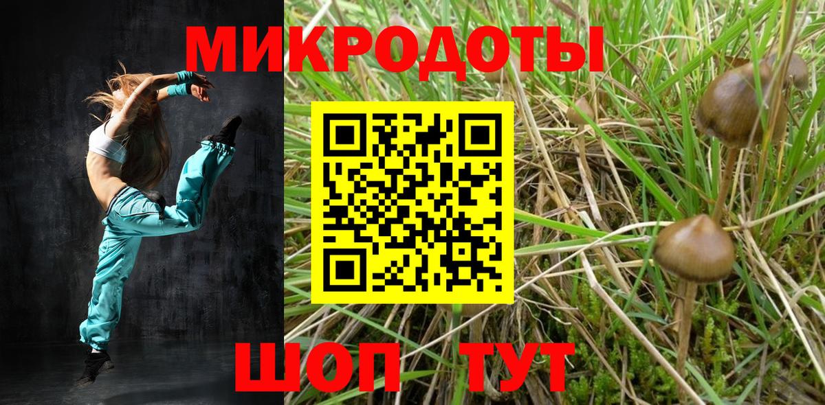 Серов  Галлюциногенные грибы Cubensis  купить наркоту  Вход с VPN 