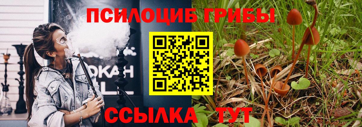 Галлюциногенные грибы прущие грибы Серов